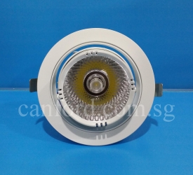 DL 235 WH COB30W LED (1)