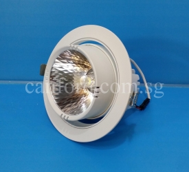 DL235 WH COB30W LED (1)