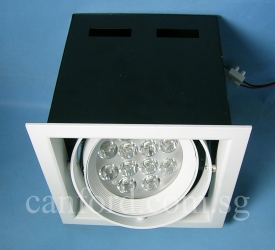 DL339-1L WH (12W) (1)