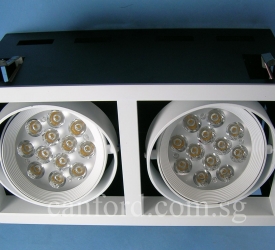 DL339-2L WH (12Wx2) (1)