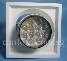 DL376-1L WH (12W) (1)